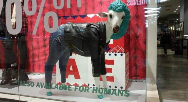 daily picdump 99 pics 12.html - 99 HD Photos | Premium Gallery 2018