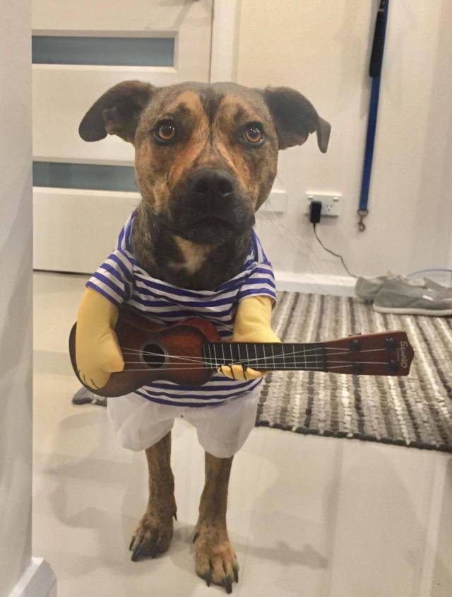 daily picdump 99 pics 12.html - 99 HD Photos | Premium Gallery 2018