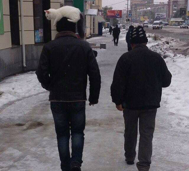 morning picdump 51 pics 25.html - 51 HD Photos | Premium Gallery 2018