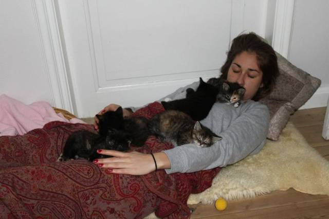 daily picdump 99 pics 20.html - 99 HD Photos | Premium Gallery 2018