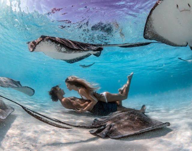 daily picdump 99 pics 20.html - 99 HD Photos | Premium Gallery 2018