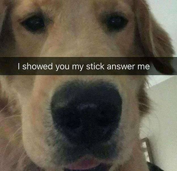 Funny Picdump