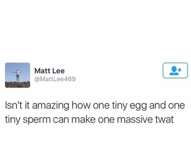 Funny Picdump