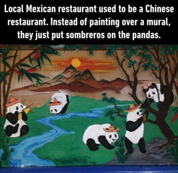 Funny Picdump