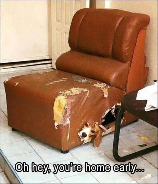 Funny Picdump