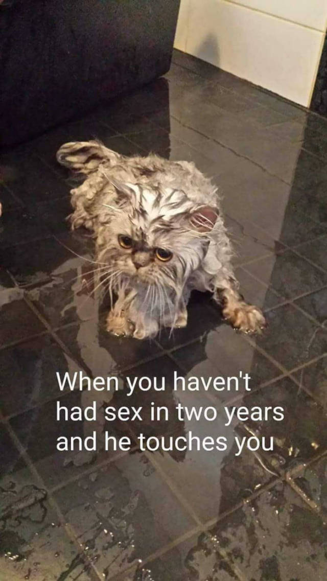 Funny Picdump
