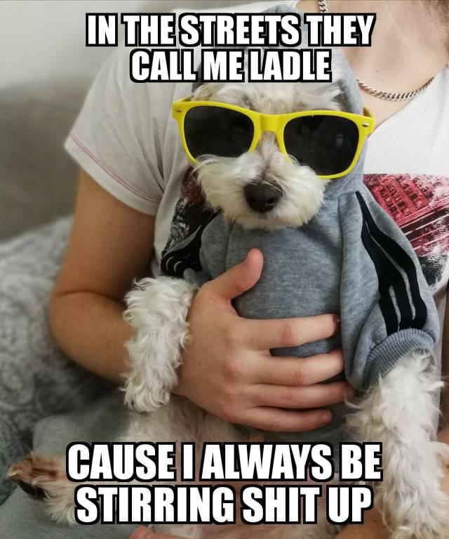 Funny Picdump