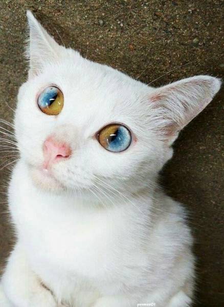 page,2,top 250 morning pics of the year 2018.html - 1 HD Photos | Premium Gallery 2018