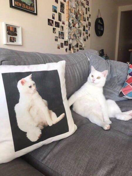 morning picdump 50 pics 1.html - 50 HD Photos | Premium Gallery 2018
