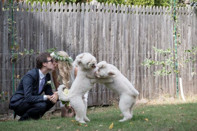 morning picdump 50 pics 1.html - 50 HD Photos | Premium Gallery 2018
