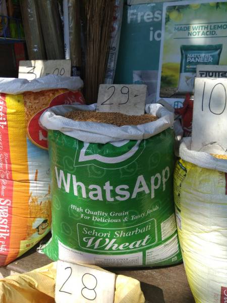 Daily Picdump [WEEKEND EDITION]