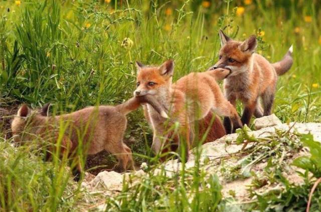 daily picdump 96 pics 42.html - 96 HD Photos | Premium Gallery 2018