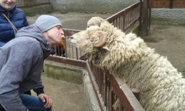 daily picdump 96 pics 42.html - 96 HD Photos | Premium Gallery 2018