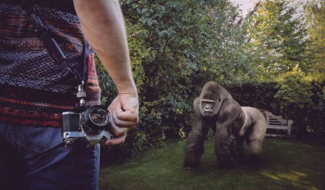 daily picdump 96 pics 42.html - 96 HD Photos | Premium Gallery 2018