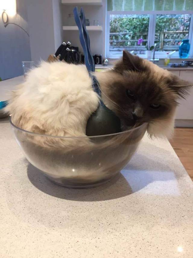 daily picdump 96 pics 42.html - 96 HD Photos | Premium Gallery 2018