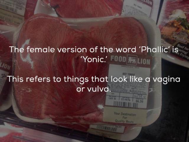 Some Very Naughty Facts About Sex