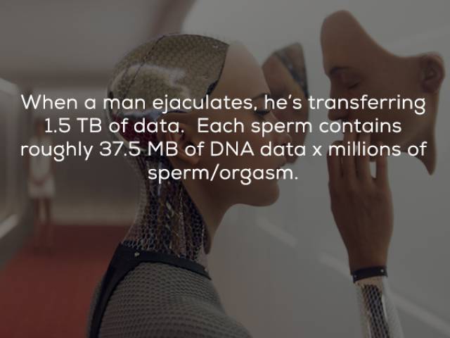 Some Very Naughty Facts About Sex