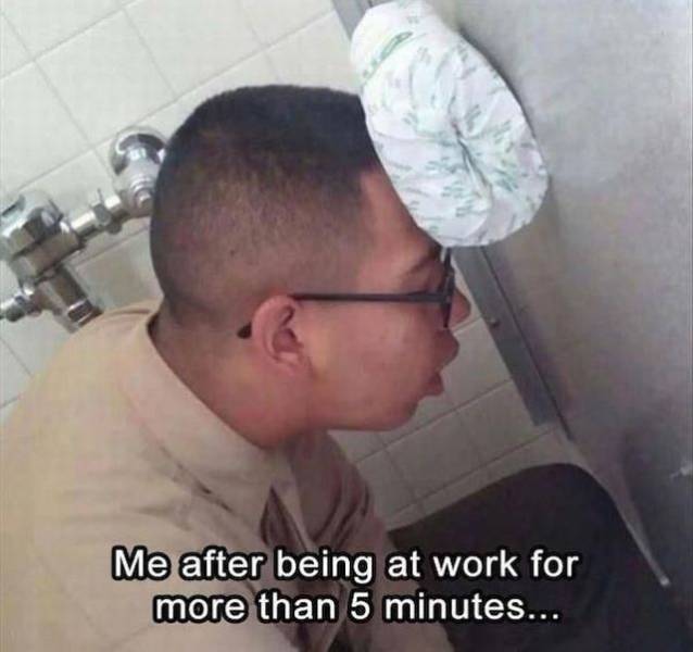 daily picdump 101 pics 40.html - 101 HD Photos | Premium Gallery 2018