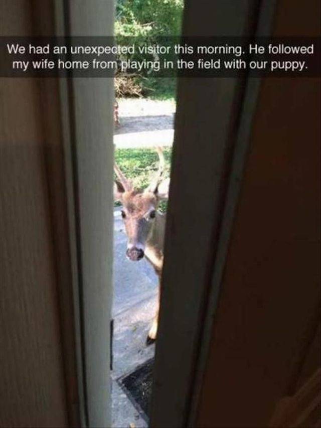 daily picdump 101 pics 40.html - 101 HD Photos | Premium Gallery 2018