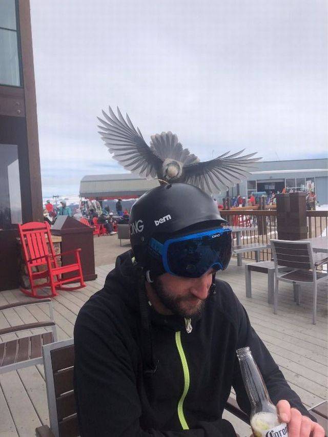 daily picdump 101 pics 40.html - 101 HD Photos | Premium Gallery 2018