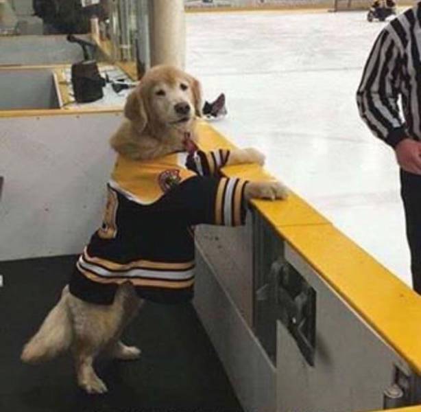 morning picdump 51 pics 24.html - 51 HD Photos | Premium Gallery 2018