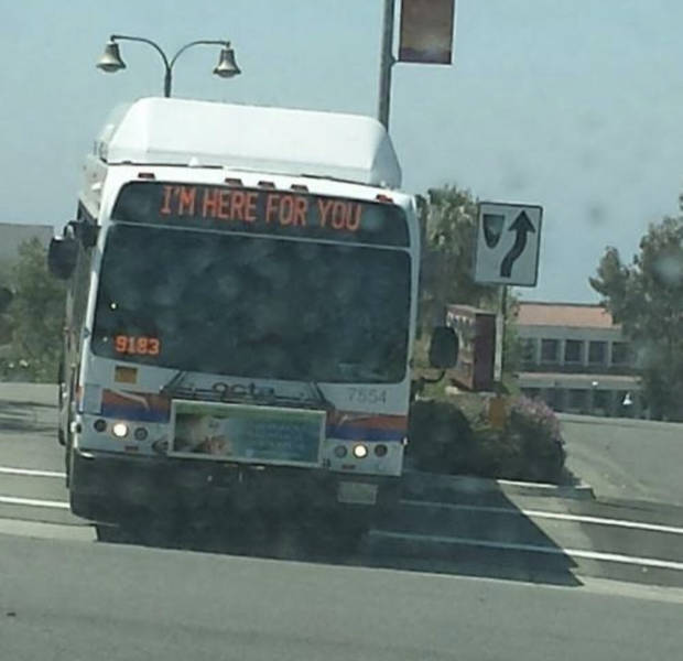 morning picdump 51 pics 24.html - 51 HD Photos | Premium Gallery 2018