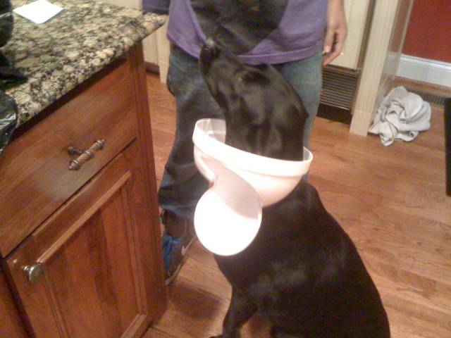 morning picdump 52 pics 5.html - 52 HD Photos | Premium Gallery 2018