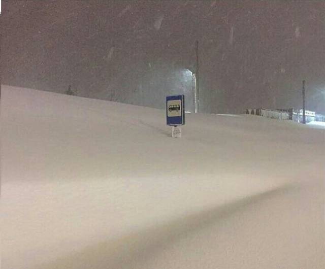 morning picdump 52 pics 5.html - 52 HD Photos | Premium Gallery 2018