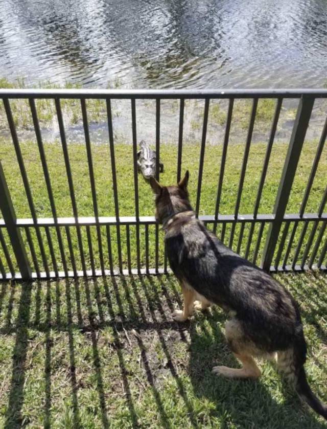 daily picdump 93 pics 39.html - 93 HD Photos | Premium Gallery 2018