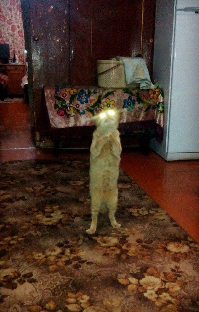 daily picdump 93 pics 39.html - 93 HD Photos | Premium Gallery 2018