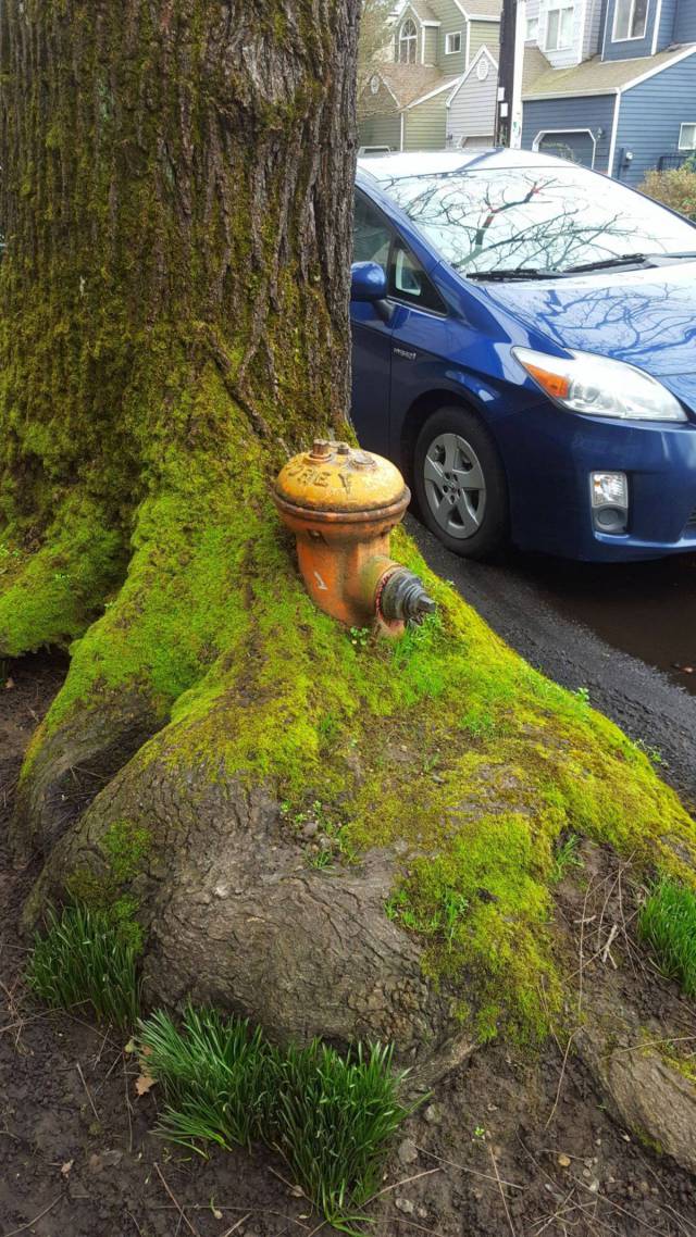 daily picdump 93 pics 39.html - 93 HD Photos | Premium Gallery 2018