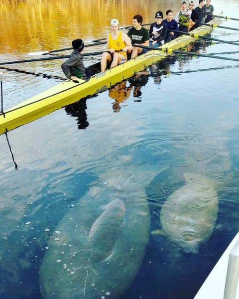 morning picdump 50 pics 3.html - 50 HD Photos | Premium Gallery 2018