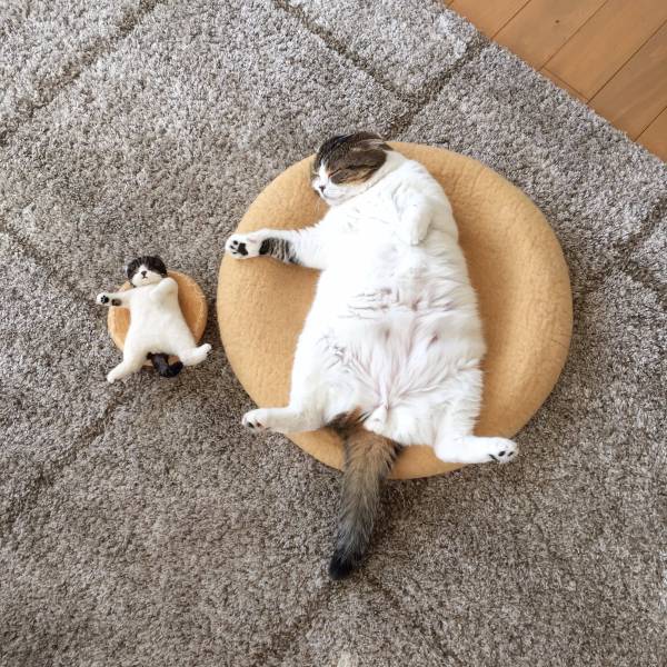 morning picdump 50 pics 3.html - 50 HD Photos | Premium Gallery 2018