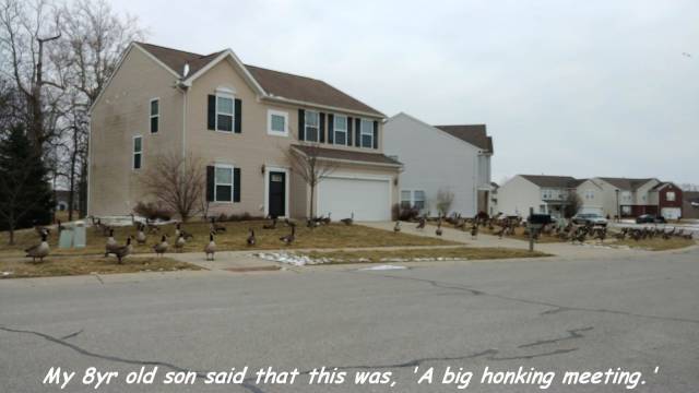 daily picdump 97 pics 8.html - 97 HD Photos | Premium Gallery 2018