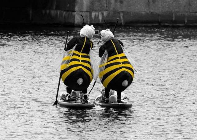 daily picdump 97 pics 8.html - 97 HD Photos | Premium Gallery 2018