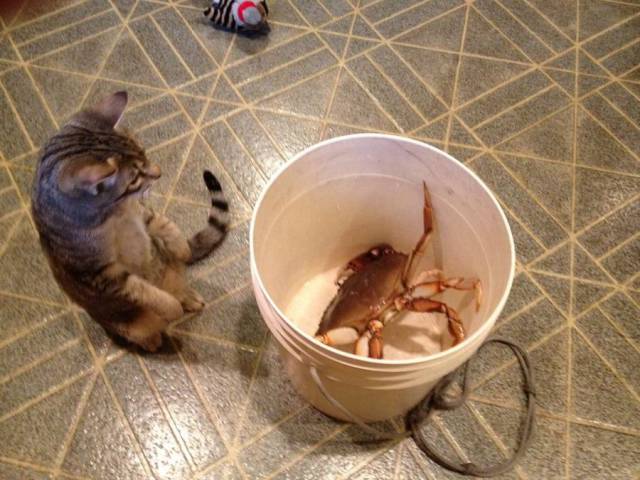 daily picdump 97 pics 8.html - 97 HD Photos | Premium Gallery 2018