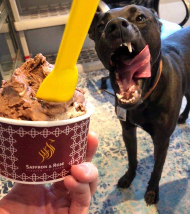 daily picdump 97 pics 8.html - 97 HD Photos | Premium Gallery 2018