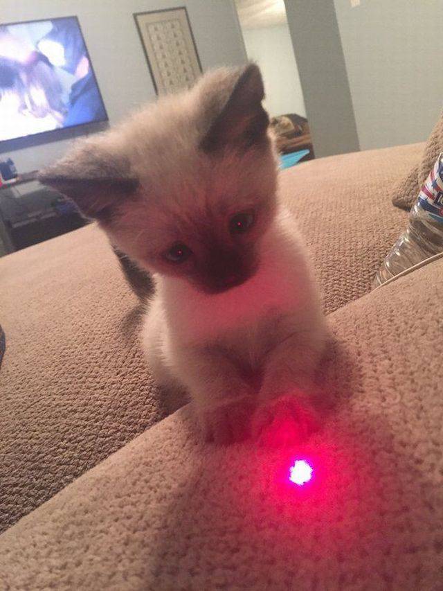 daily picdump 97 pics 8.html - 97 HD Photos | Premium Gallery 2018