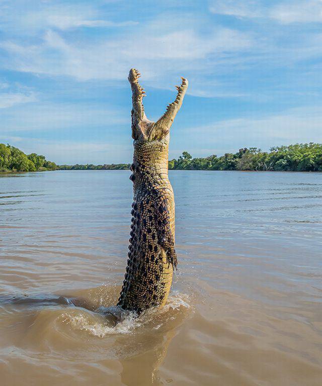 daily picdump 97 pics 8.html - 97 HD Photos | Premium Gallery 2018