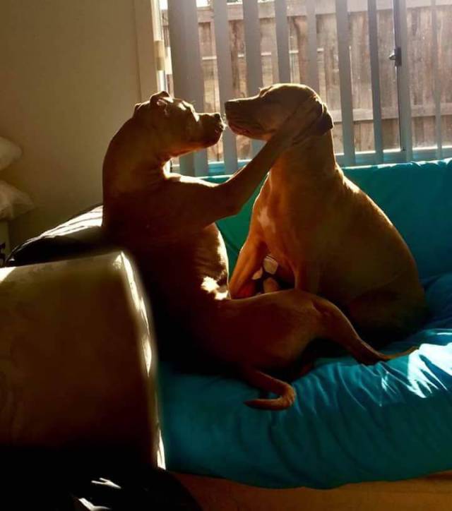 daily picdump 97 pics 8.html - 97 HD Photos | Premium Gallery 2018