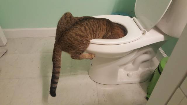 morning picdump 53 pics 2.html - 53 HD Photos | Premium Gallery 2018