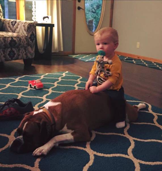 morning picdump 53 pics 2.html - 53 HD Photos | Premium Gallery 2018