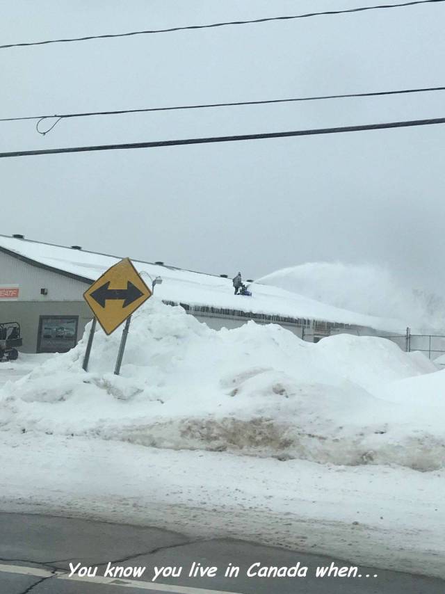 Daily Picdump [WEEKEND EDITION]