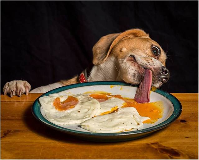 daily picdump 97 pics 14.html - 97 HD Photos | Premium Gallery 2018