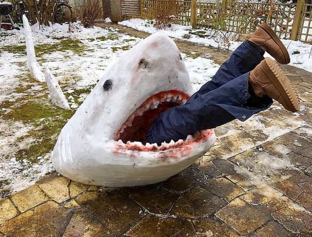 daily picdump 97 pics 14.html - 97 HD Photos | Premium Gallery 2018