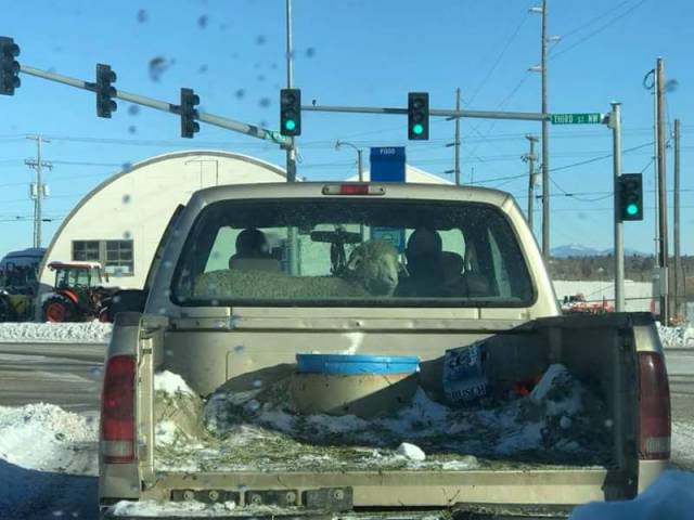 daily picdump 97 pics 14.html - 97 HD Photos | Premium Gallery 2018