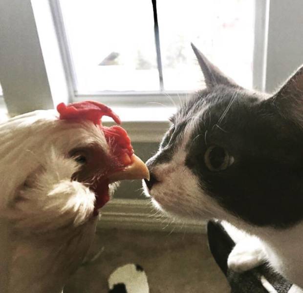 daily picdump 97 pics 14.html - 97 HD Photos | Premium Gallery 2018