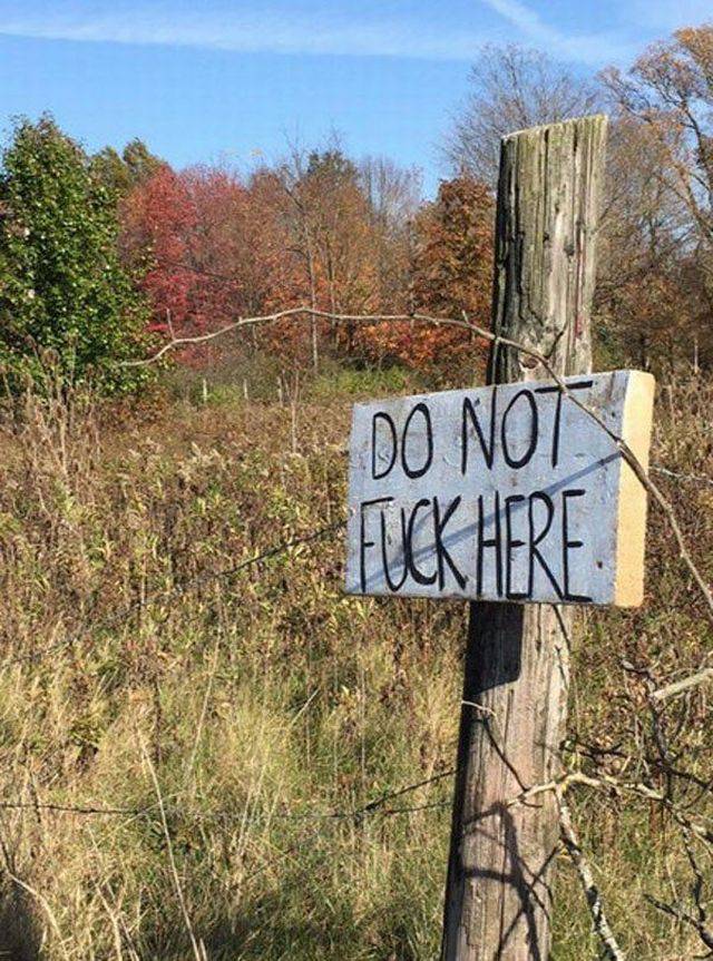 daily picdump 97 pics 14.html - 97 HD Photos | Premium Gallery 2018