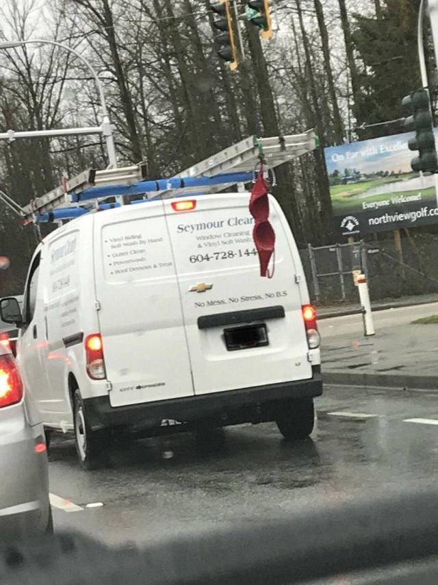 daily picdump 97 pics 14.html - 97 HD Photos | Premium Gallery 2018