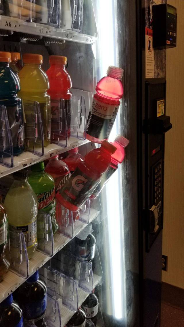 daily picdump 97 pics 14.html - 97 HD Photos | Premium Gallery 2018